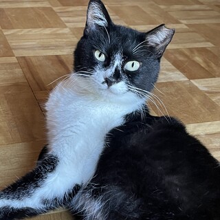 懐っこい鈴ちゃん