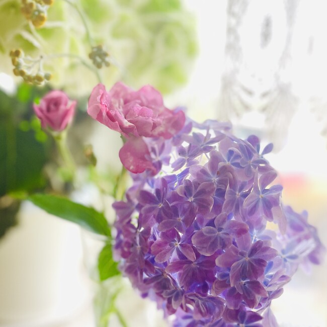 月の灯のカバー写真