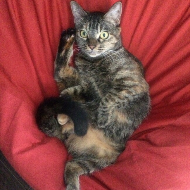 mooonsanのカバー写真