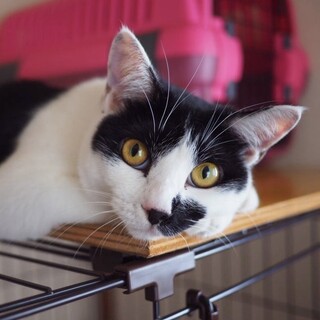 なでなで大好き！マイペースな女の子♡まこちゃん