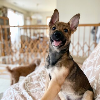 恵大♂家族が出来ました!