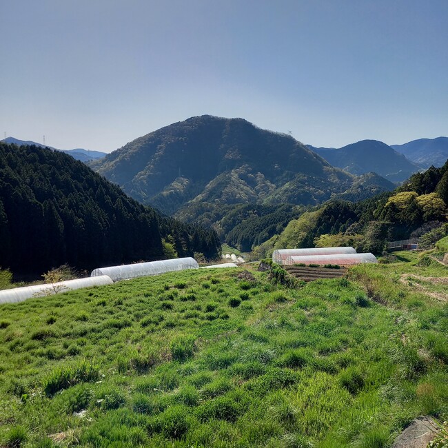 Shin1968のカバー写真