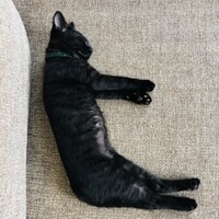 ネーロ
