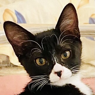 元気活発でしっかり女子♥らーめん兄妹