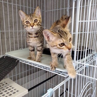 ありがとうございました！