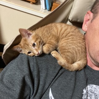 肩のりみかんちゃん