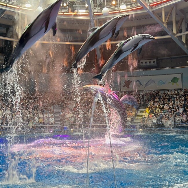KTきむのカバー写真