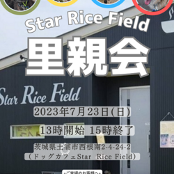 「Star Rice Fi...」(しみゃおのイベント #19400) :: ペットのおうち【里親決定25万頭!】