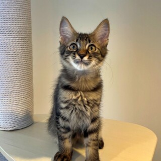 食欲旺盛で元気いっぱいな男の子！