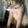 頭が大きく写ってしまった写真…！ナンダコレ。