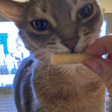 食べ物チェック中…食べちゃダメだからね。。