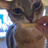 食べ物チェック中…食べちゃダメだからね。。