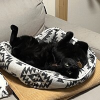 黒霧丸