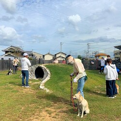 総社市ＡＷＡしつけ教室　＜雨天決行＞定員になりました サムネイル3