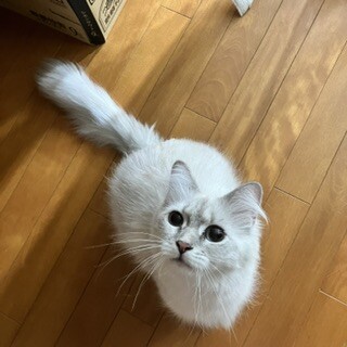 募集を終了しました。