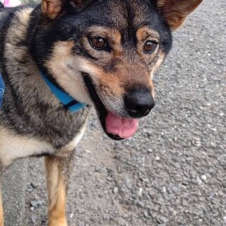 人も犬も大好き！運動神経抜群の女の子 いつみ