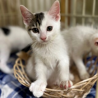元気いっぱいおてんばでかわいいゆえちゃん