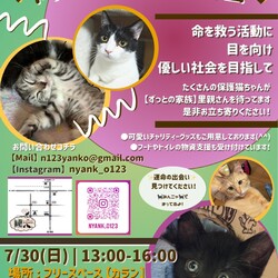 【第11回岡田ほごねこ譲渡会】
