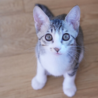 人を笑顔にしてくれる♡性格ハナマル