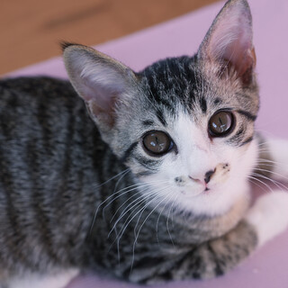 人が大好き♡優しくておっとり甘えん坊♡