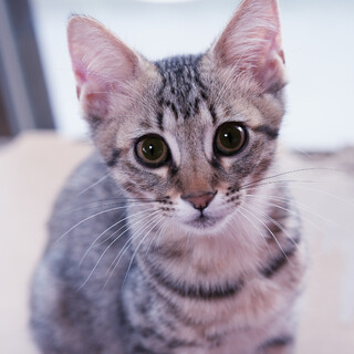 大好きだから♡ずーっと甘えてもいい?