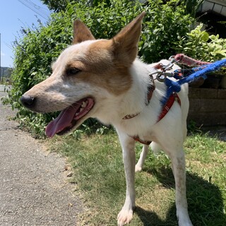 お尻の雪だるまが可愛い『おさら君』(^^♪