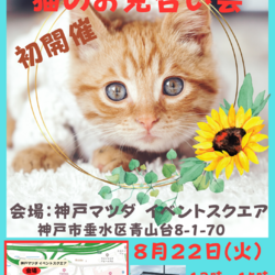 ゆったりほっこりする猫のお見合い会