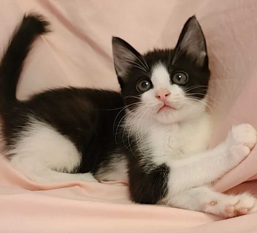 兄妹で一緒のおうちを探してます！ サムネイル3