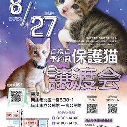 ほごっこ子猫の譲渡会（予約制）