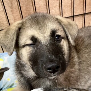 トイレ躾完璧、お喋りが得意の2ヶ月半の男の子