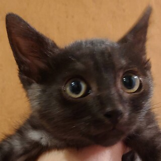 ヤンチャな主水(もんど)くん♪♪