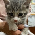 元気いっぱい５兄妹☆みかん君