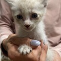 元気いっぱい５兄妹☆シトラス君