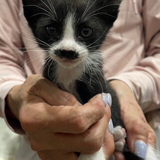 元気いっぱい５兄妹☆ゆず君