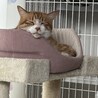 にゃんた君 さん