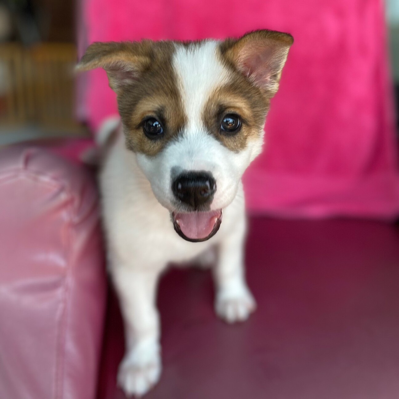 元気ボーイ☆KinKi Kidsの剛くん サムネイル1