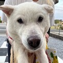 ★トライアルへ★狭いところに閉じ込めてられていた子