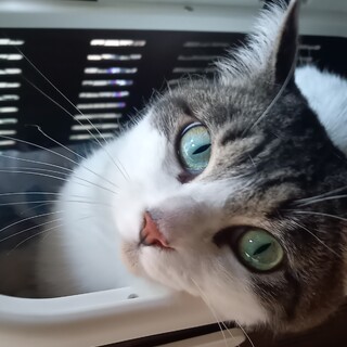 甘えん坊の女の子です♪