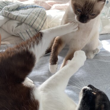 今日も元気でよかよか〜♪