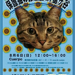 保護猫の譲渡会in富ケ谷