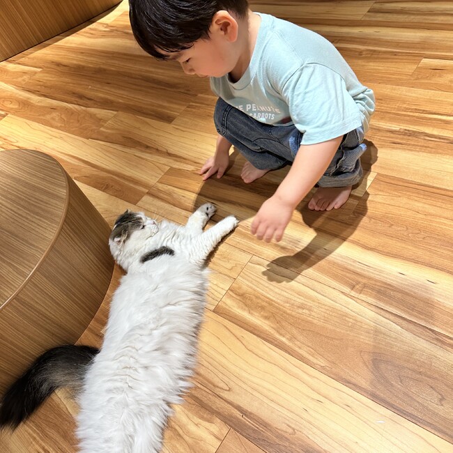 さねまるこのカバー写真