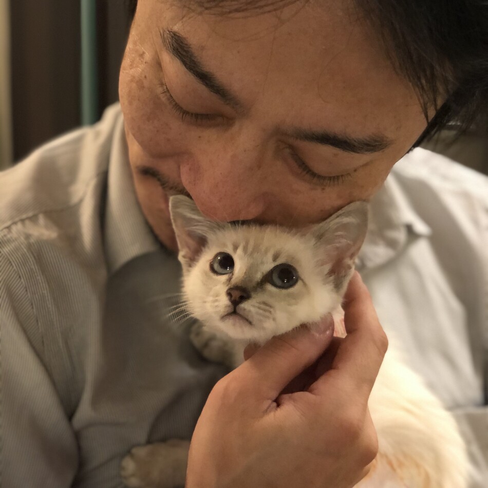 Sferaのカバー写真