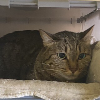 経験者のみ！根気よく向き合ってくださる方