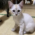 ありがとうございました