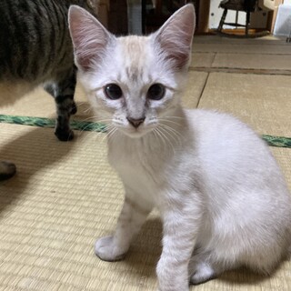 ありがとうございました