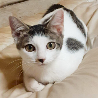 募集停止　甘えん坊女子♥だいだい