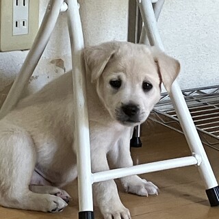 一旦募集停止一緒にいて飽きません。毎日楽しいです。