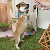 物怖じゼロ〜明るい【まい君】 サムネイル2