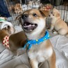 物怖じゼロ〜明るい【まい君】 サムネイル4