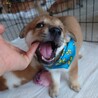 物怖じゼロ〜明るい【まい君】 サムネイル6